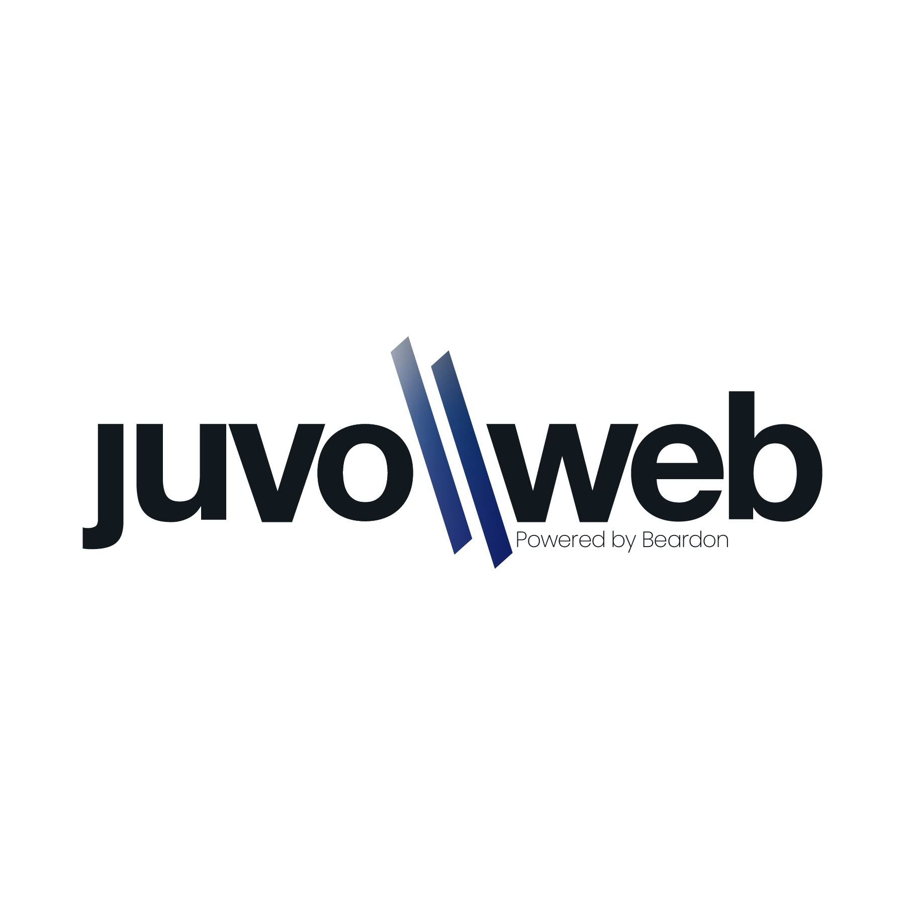 2021_juvoweb_new_logo-01 (1)